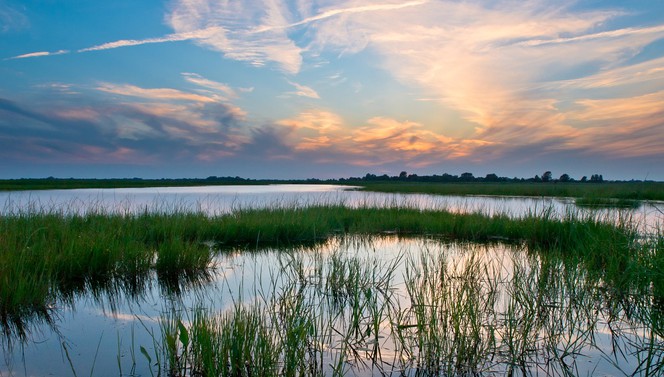 Naturschutzgebiet De Onlanden